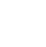 White LinkedIn Icon
