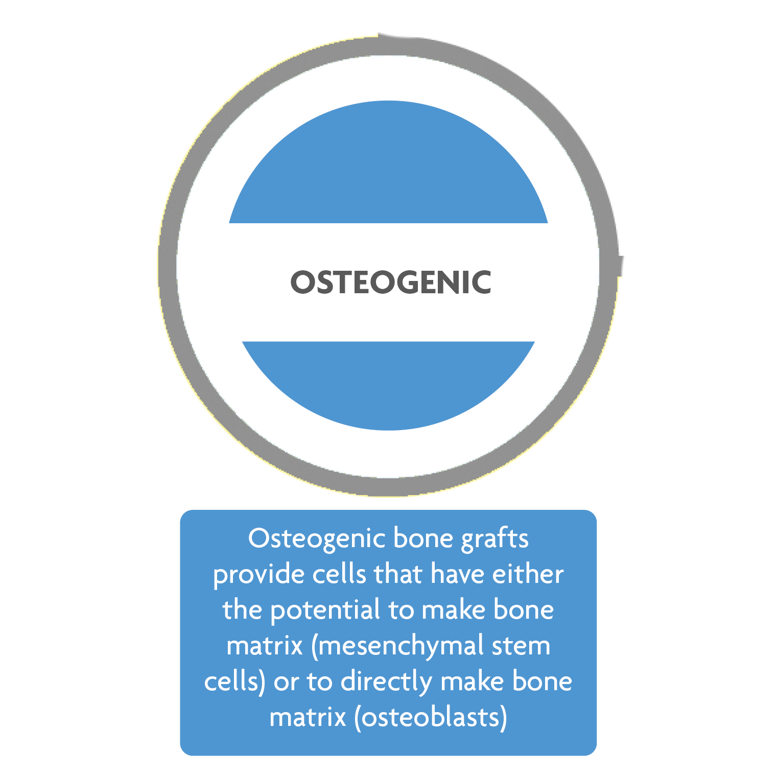 Osteogenic Image