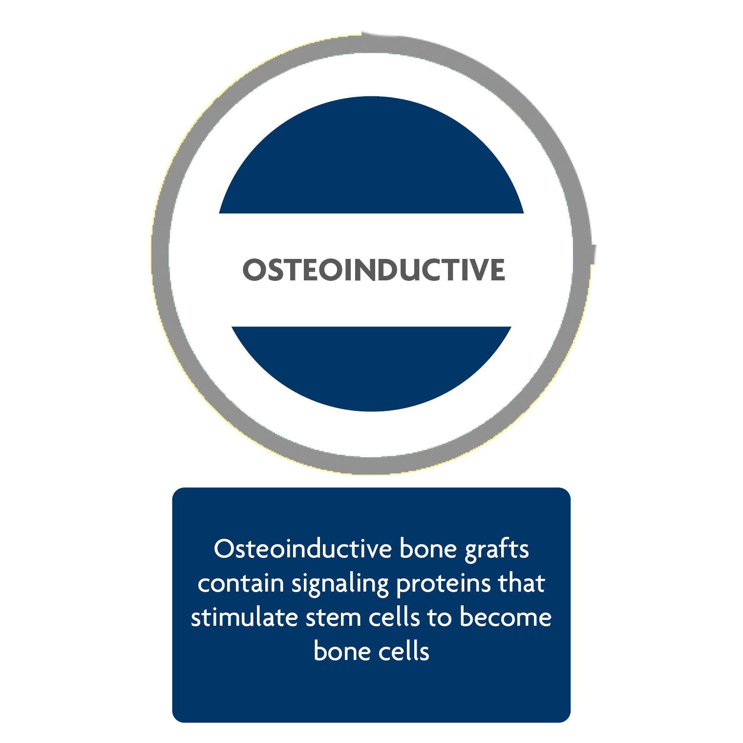 Osteoinductive Image
