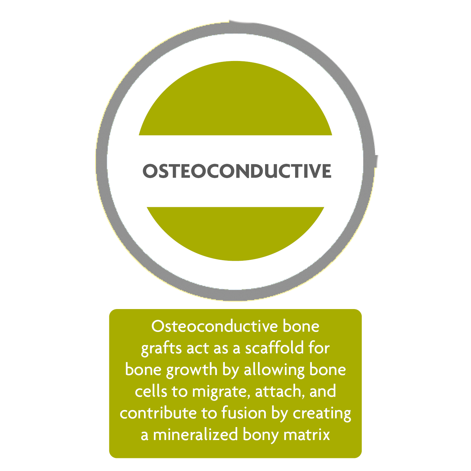 Osteoconductive Image