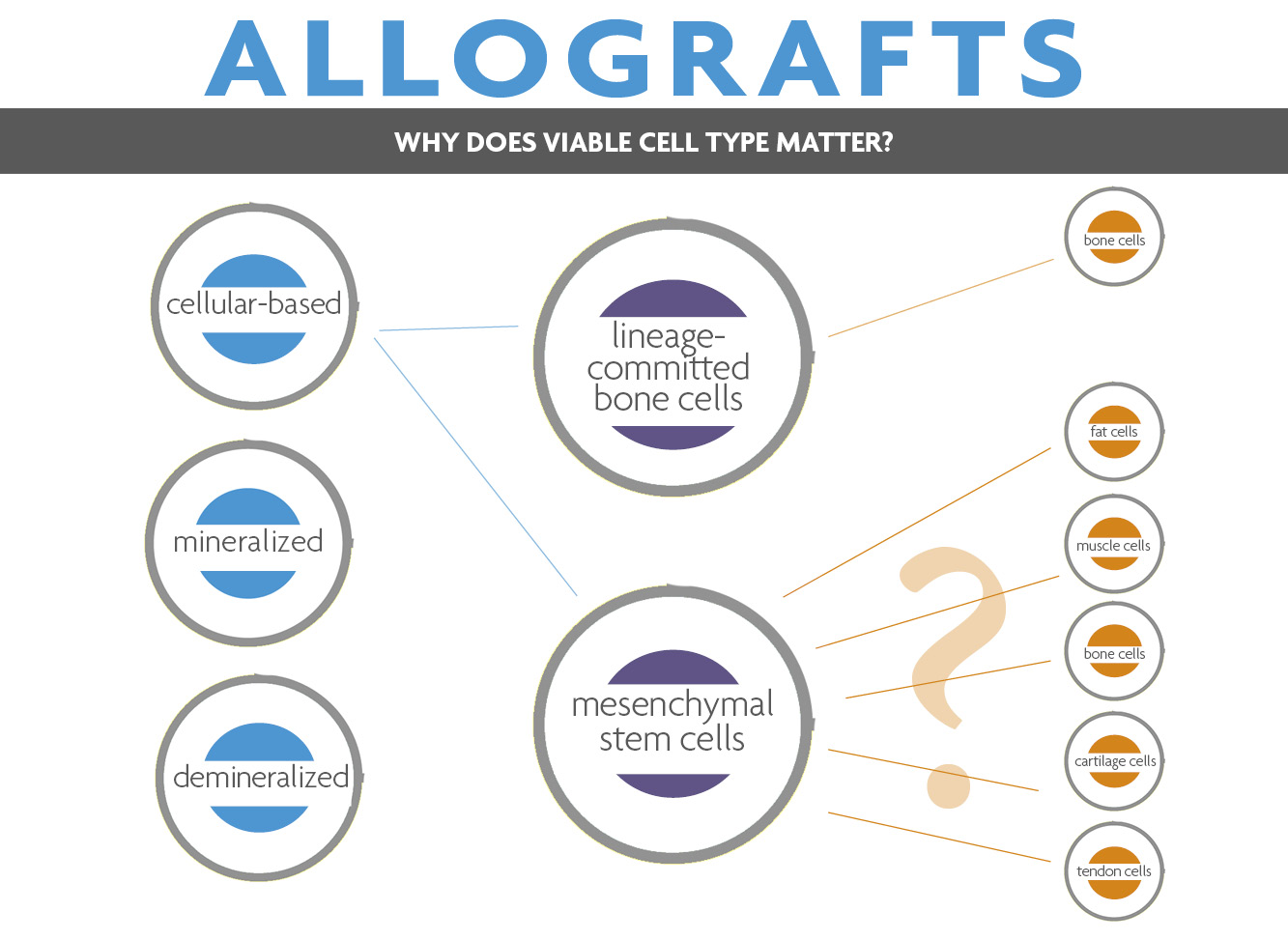 Cellular Allograft Chart