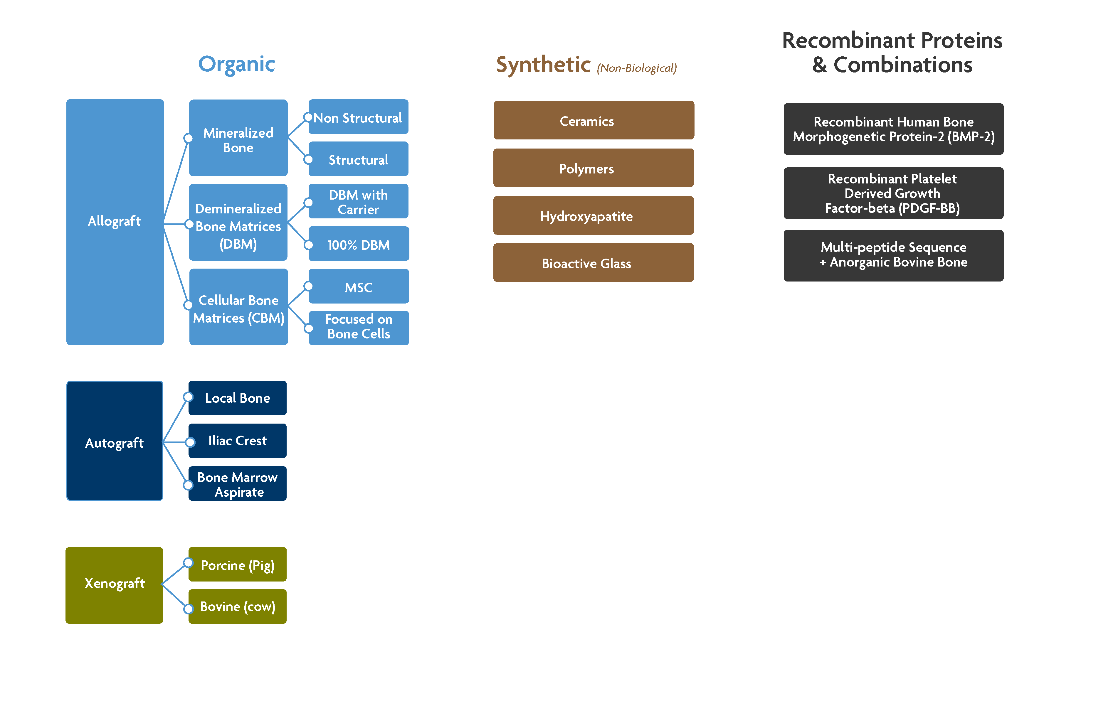 Bone Graft Flow Chart